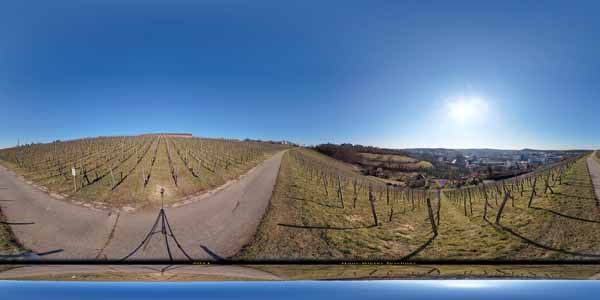 Burgholzhof_001