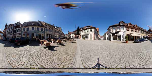 Gernsbach_016_spinne