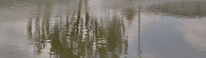 Galerie_301_15