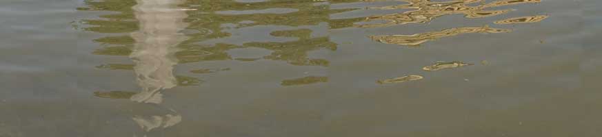 Sommerfest07_02_14