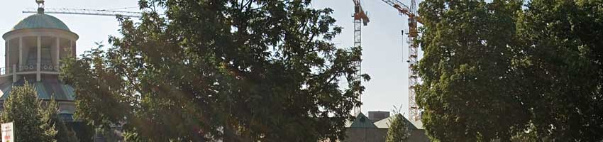 Sommerfest07_04_05